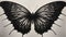 Bold And Beautiful: The Butterfly In Karl Blossfeldt\\\'s Film Still