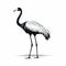 Bold Black And White Crane Illustration With Tropical Symbolism