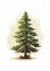 Bold Cartoonish Pine Tree Illustration With Moss On White Background