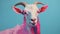 Bold Chromaticity: The Pink Goat Painted By John Moran
