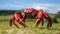 Bold Chromaticity: Red Crab Walking Over Grass - Hyperrealistic Marine Life