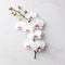 Bold Chromaticity: White Orchid On White Marble Background