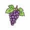Bold And Colorful Cartoon Grape Illustration On White Background
