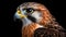 Bold And Colorful Hawk Portrait In Airbrush Style