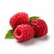 Bold And Colorful Matte Photo Of Three Raspberries On White Background