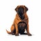 Bold And Dramatic Brown Dog Vector Art On White Background