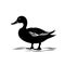 Bold Duck Silhouette Vector Illustration On White Background