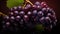 Bold And Dynamic: Unreal Engine Rendered Image Of Large Purple Grapes