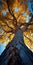 Bold And Graceful: A Colorful Woodcarving Of An Old Tree With Yellow Leaves