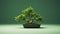 Bold And Graceful: The Mint Bonsai Tree In Hd Desktop Wallpaper