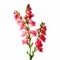 Bold And Graceful: A Pink Flower Stem In Concore Style
