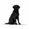 Bold Graphic Illustration Of A Black Labrador Dog Silhouette