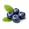 Bold And Lifelike Blueberries On White Background