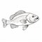 Bold Line Drawing Of A Fish Uhd Image With Scientific Accuracy