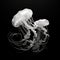 Bold Monochrome Jellyfish Art: Minimalist Strokes And Lifelike Realism