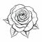 Bold Rose Drawing On White Background - Coloring Book For Kids