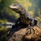 Bold Saturation Innovator: Black Alligator On Rock In Forest