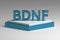 Bold shiny letters BDNF on marble pedestal