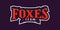 Bold sports font for fox mascot logo. Text style lettering for esport, fox mascot logo, sport team, college club. Font