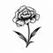 Bold Stencil Carnation Flower Icon In Black And White