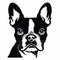 Bold Stencil Drawing Of A Boston Terrier\\\'s Face