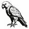 Bold Stencil Parrot Drawing On White Background