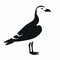 Bold Stencil Seagull Clip Art On White Background