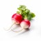 Bold And Striped Radish On White Background