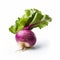 Bold And Vibrant Purple Turnip On White Background