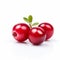 Bold And Vibrant: Three Red Cranberries On A White Background