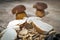 Boletus Edilus mushrooms on a wooden table â€“ fresh dried and