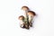 Boletus edulis mushroom isolated on white background. Copy space. Top view. Organic forest food, edible fresh picked