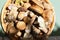 Boletus edulis mushroom, porcino, edible, tasty, raw