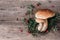 Boletus edulis mushroom and red lingonberries on wooden background. Copy space. Top view. Organic forest food, edible