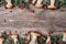 Boletus edulis mushroom and red lingonberries on wooden background. Copy space. Top view. Organic forest food, edible