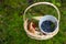 Boletus edulis or porcini mushrooms, blueberries and cranberries in a wicker basket