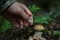 Boletus mushrooming man