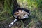 Boletus scaber (Leccinum scabrum) in a pan in the forest, freshly picked mushrooms