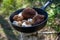 Boletus scaber (Leccinum scabrum) in a pan in the forest, freshly picked mushrooms