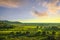 Bolgheri and Castagneto vineyard aerial view on sunset. Maremma Tuscany, Italy