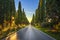 Bolgheri famous cypresses tree straight boulevard. Maremma, Tuscany, Italy