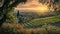 Bolgheri Vineyard: A Captivating Autumn Sunset in the Enchanting Landscape of Maremma, Tuscany