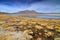 Bolivia, Laguna Blanca Lake in the Sur Lipez province, Potosi Department.