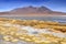 Bolivia, Laguna Blanca, Lake in the Sur Lipez province, Potosi Department