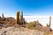 Bolivia Uyuni eruption of the volcano Thunupa