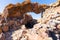 Bolivia Uyuni Incahuasi island coral arch