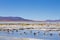 Bolivian lagoon landscape,Bolivia