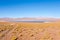 Bolivian lagoon view,Bolivia