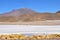 Bolivian lagunas in the andean mountain range