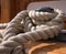 Bollard and rope